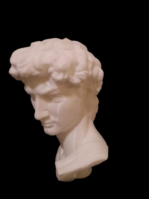 Busto de David de Miguel Angel